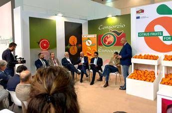 Organizzazioni produttori: nostro ruolo sempre più centrale in mercato globale