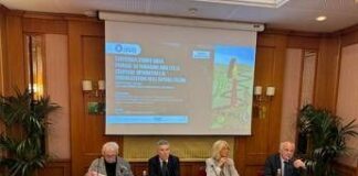 Psoriasi per oltre 1,5 mln italiani, campagna per accesso a diagnosi e terapie