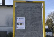 Manifesti di Tuteliamo la Salute strappati: la solidarietà dell’amministrazione comunale di Dueville Vandalizzati i manifesti di Tuteliamo la Salute a Dueville