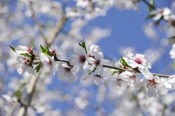Settimana di primavera, meteo variabile e temperature un po’ in calo: le previsioni