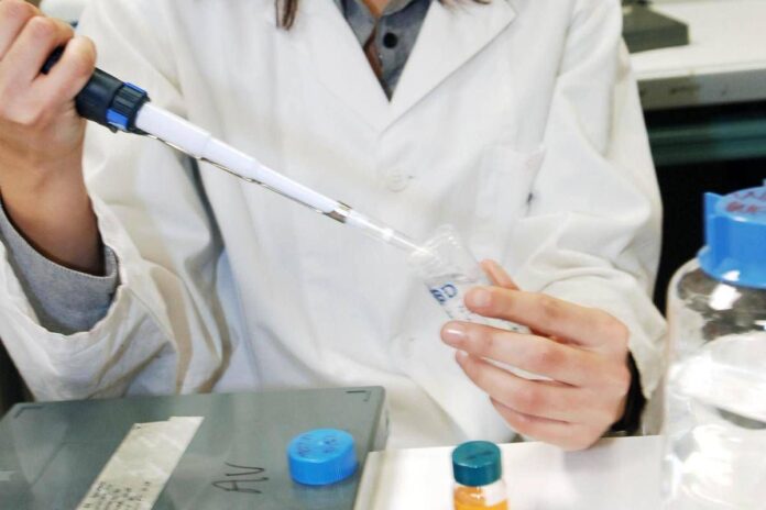 The Lancet Oncology, roadmap globale contro le disuguaglianze nelle cure