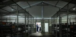 Trump in pressing per riaprire il carcere di Alcatraz, tycoon chiede al Congresso 152 milioni