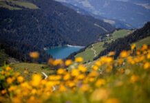 Vacanza nella Valle del Defereggen, tra natura e attività per famiglie Valle del Defereggen