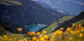 Vacanza nella Valle del Defereggen, tra natura e attività per famiglie Valle del Defereggen