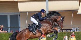 Vicenza, BeGreat porta il roadshow ‘Eat like you train’ per promozione talento sportivo