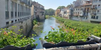 Vicenza fiorita, Amcps pianta mille gerani sui ponti della città vicenza fiorita
