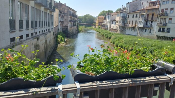 Vicenza ponti fioriti 05 vicenza fiorita