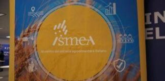 Vinitaly, vino italiano leader: focus su mercati esteri e nuovo bando OCM Promozione