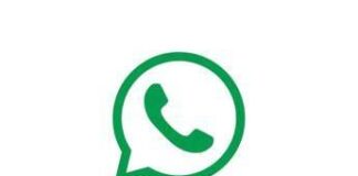 WhatsApp, debutta l’abbonamento Plus per personalizzare la chat