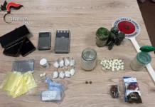 Alonte, collaboratore scolastico nei guai: in casa i carabinieri trovano droga e munizioni alonte droga