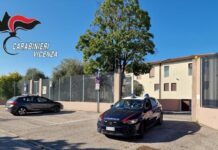 Montecchio Maggiore, era ai domiciliari ma coltivava marijuana: denunciato dai carabinieri montecchio maggiore marijuana