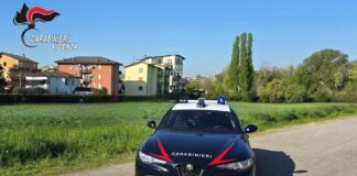 Vicenza, aggredisce anziana che lo ospita e carabinieri: arrestato un 34enne vicenza anziana