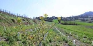 3Bee e l’Oasi della Biodiversità di Pavia