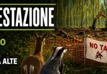 Bosco Lanerossi, il 23 maggio manifestazione contro i cantieri TAV a Vicenza Bosco Lanerosi, manifestazione del 23 maggio