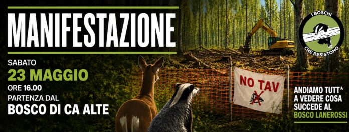 Bosco Lanerosi, manifestazione del 23 maggio Bosco Lanerosi, manifestazione del 23 maggio