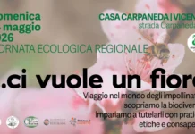 Legambiente Vicenza celebra la Giornata ecologica regionale con il progetto “Ci vuole un fiore” Legambiente Vicenza
