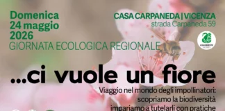 Legambiente Vicenza celebra la Giornata ecologica regionale con il progetto “Ci vuole un fiore” Legambiente Vicenza