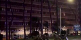 Cavalli in fuga a Roma, 4 vigili urbani fuori dalla parata del 2 giugno