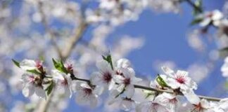 Dai temporali al bel tempo, arriva la prima fiammata estiva con 30-32°C nel weekend