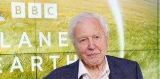 David Attenborough compie 100 anni e riceve un regalo speciale dal Museo di Storia Naturale di Londra