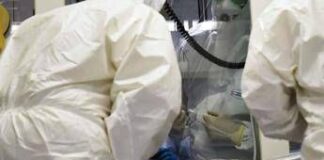 Ebola, la conferma di un focolaio in Congo: “246 casi sospetti e 65 morti”