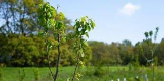 Energia green, solidarietà e rigenerazione, 293 progetti di Csr