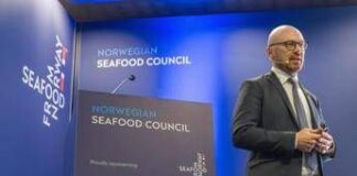 Food, il mercato ittico retail italiano cresce ancora: oltre 4 miliardi di euro nel 2026