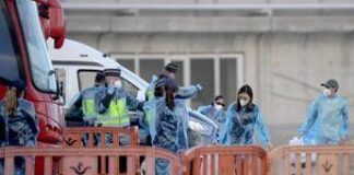 Hantavirus, la circolare del ministero della Salute: quarantena, contagi e mascherine. Ecco cosa prevede
