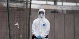 Hantavirus, l’esperta: “Non si rischia nuova pandemia, più letale ma diverso da Covid”
