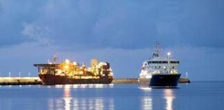 Hantavirus, nave da crociera Hondius a Tenerife. Oms: “A bordo contatti ad alto rischio”
