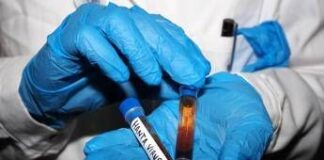 Hantavirus, test negativo per la persona in isolamento in Veneto