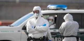 Hantavirus, tra allerta e ricerca del vaccino: “Rischio basso ma la scienza accelera”