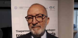 Imprese, Santocono (InfoCamere): “Investimento di 650 mln all’anno per le prime dieci autocertificazioni”