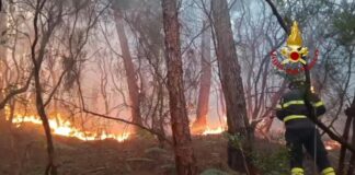 Incendio tra Lucca e Pisa, canadair in azione e abitazioni evacuate ad Asciano Incendio tra Lucca e Pisa