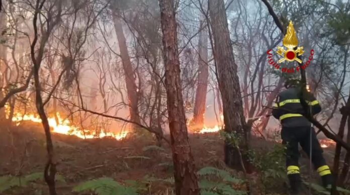 Incendio tra Lucca e Pisa
