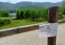 Lago di Fimon, La Provincia di Vicenza lancia un corridoio sicuro per i rospetti lago fimon rospetti