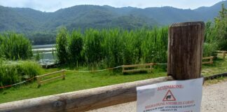 Lago di Fimon, La Provincia di Vicenza lancia un corridoio sicuro per i rospetti lago fimon rospetti