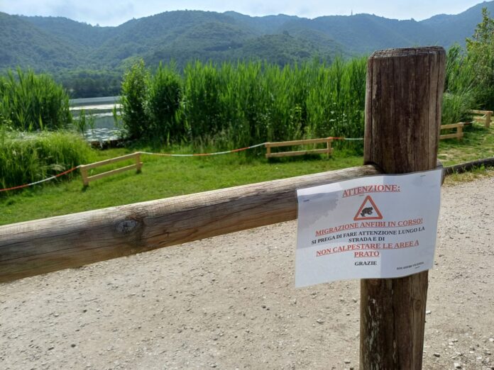 lago fimon rospetti