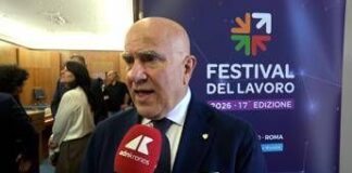 Lavoro, De Luca (Consulenti): “Festival pensatoio Paese”