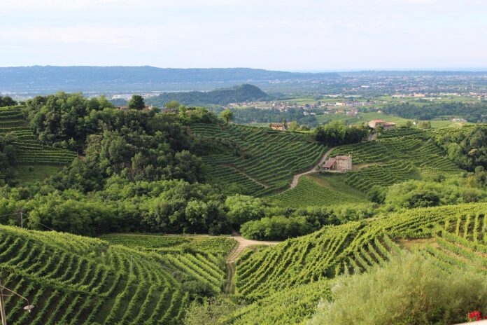 Le colline del prosecco