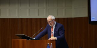 Federazione del Nord Est (Cassa Centrale): i risultati del 2025 verso l’Assemblea dei Soci federazione nord est