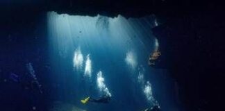 Maldive, individuati i corpi dei 4 sub italiani