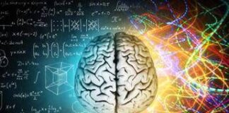 Milano, BrainSpace house per scoprire legame tra benessere di mente e cervello