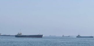 Non solo petrolio, la guerra tra Iran e Usa blocca i pistacchi: stop all’export