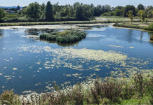 Parco della Pace di Vicenza, presentata l’iniziativa “Ecosistema” Parco Pace Vicenza