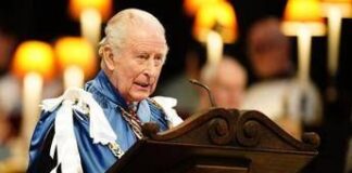 Perché Carlo non ha visto Harry negli Usa? Per l’esperto il re non si fida