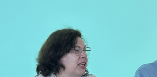 “Un liceo per Thiene”, Marina Maino: “Il libro sul Corradini amore per la scuola e la città”. Il 27 maggio tutti al Fonato Un liceo per Thiene, Marina Maino. dirigente del Liceo F. Corradini di Thiene