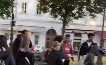 Scuola di Marostica a Trieste con i migranti, nessuna irregolarità. Luisetto (Pd): “Ora le scuse” Scuola Marostica Arpalice Cuman Pertile Trento migranti