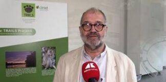 Sostenibilità, Rival (Cirad): “Con Trails integrazione tra foreste e palma da olio”