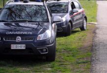 Spara ai ladri durante tentato furto, custode azienda denunciato: aveva porto d’armi scaduto